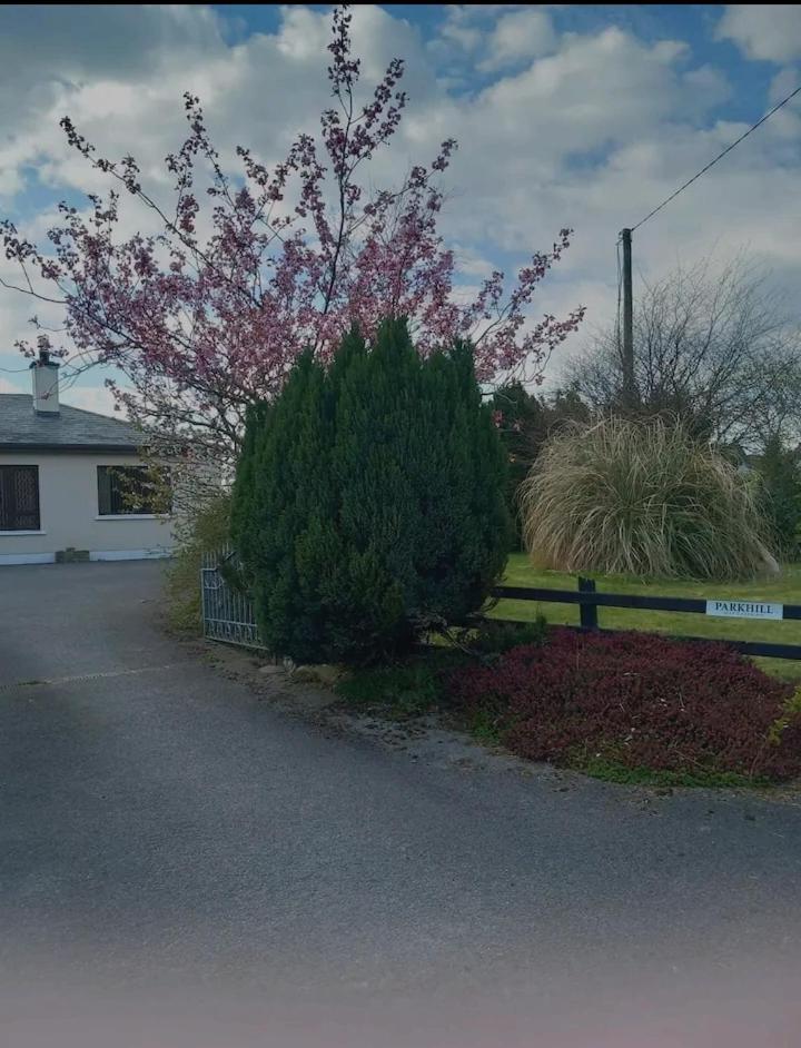 Apartament Parkhill House Self Catering Ballyshannon Zewnętrze zdjęcie